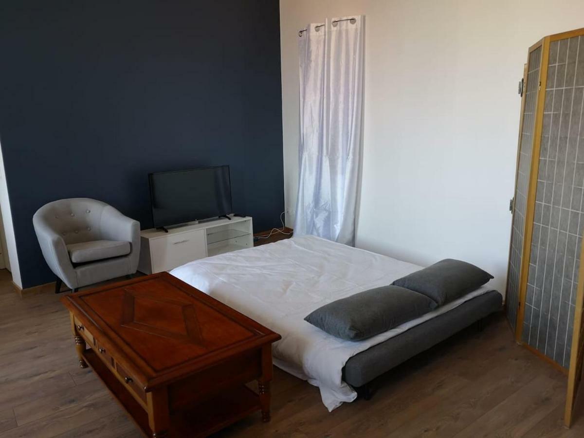 Appartement Spacieux Et Confortable La Roche-de-Glun Kültér fotó